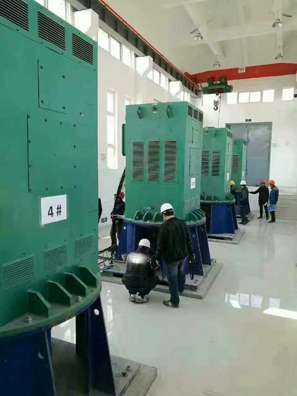 大祥某污水处理厂使用我厂的立式高压电机安装现场